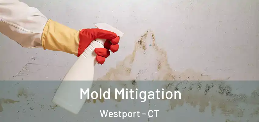Mold Mitigation Westport - CT