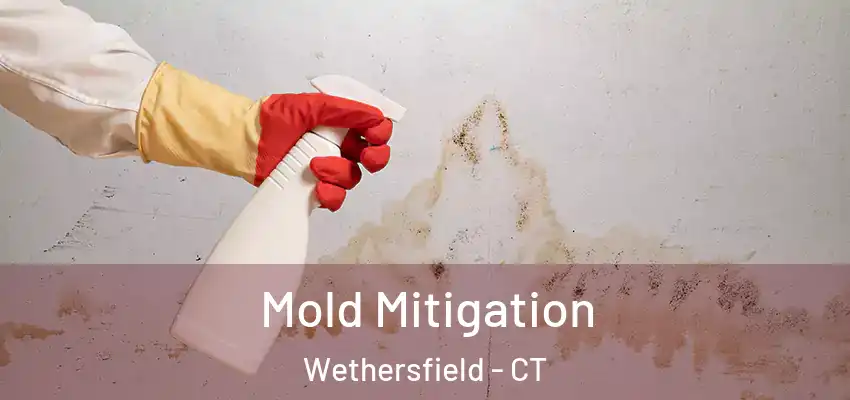 Mold Mitigation Wethersfield - CT