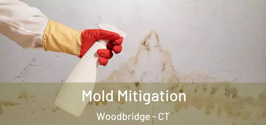 Mold Mitigation Woodbridge - CT