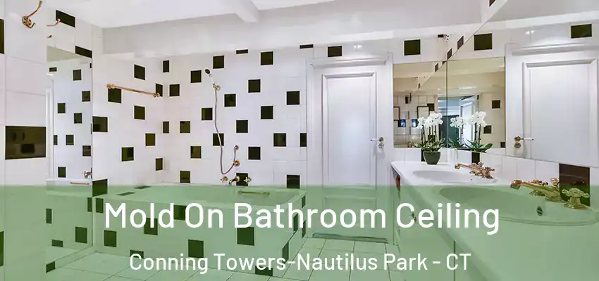 Mold On Bathroom Ceiling Conning Towers-Nautilus Park - CT