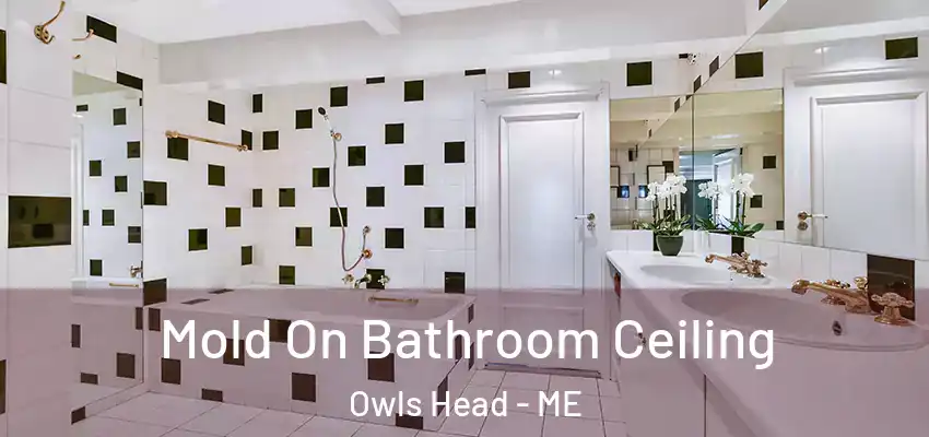 Mold On Bathroom Ceiling Owls Head - ME
