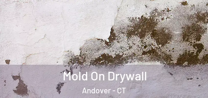  Mold On Drywall Andover - CT