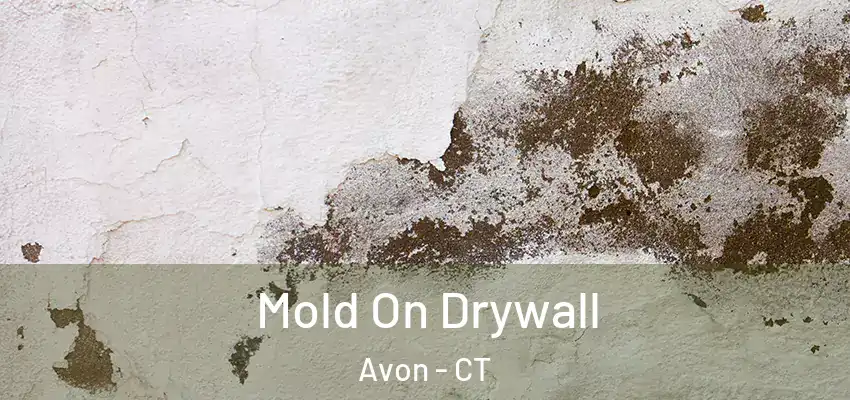  Mold On Drywall Avon - CT