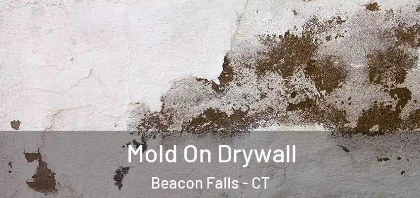  Mold On Drywall Beacon Falls - CT