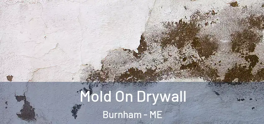  Mold On Drywall Burnham - ME