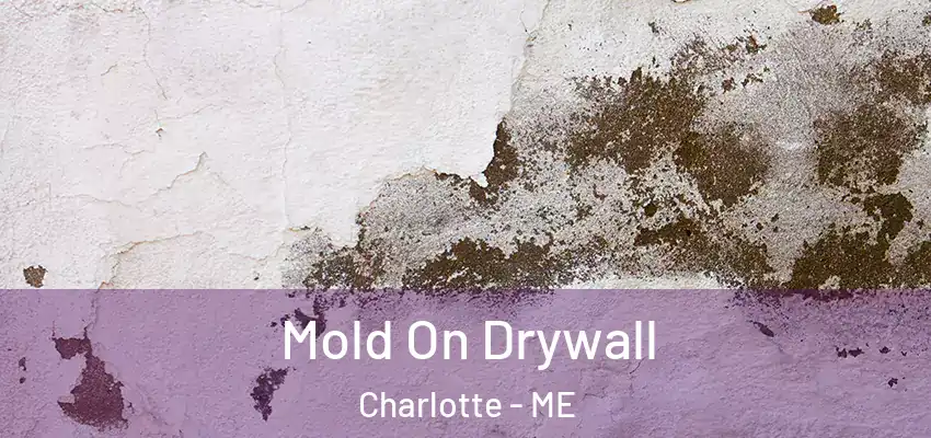 Mold On Drywall Charlotte - ME