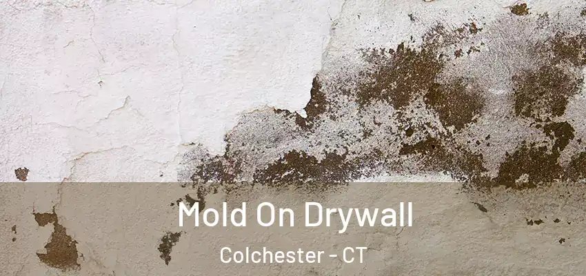 Mold On Drywall Colchester - CT