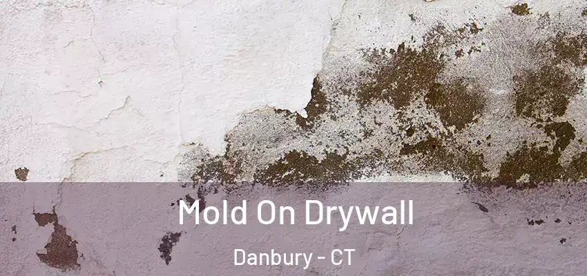 Mold On Drywall Danbury - CT