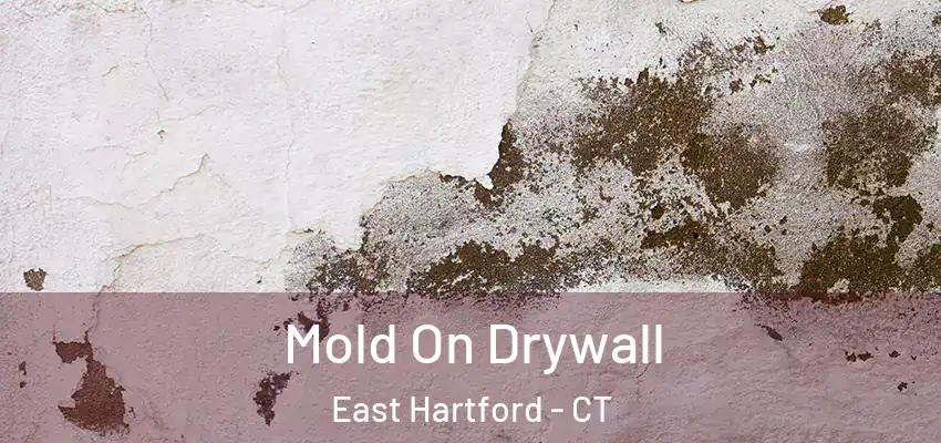Mold On Drywall East Hartford - CT
