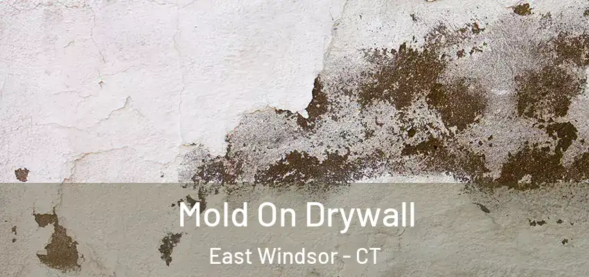 Mold On Drywall East Windsor - CT