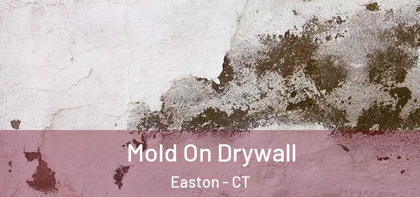  Mold On Drywall Easton - CT