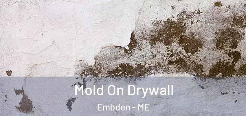 Mold On Drywall Embden - ME