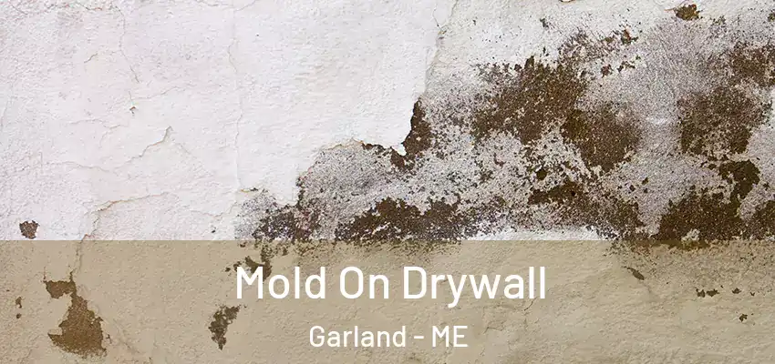  Mold On Drywall Garland - ME