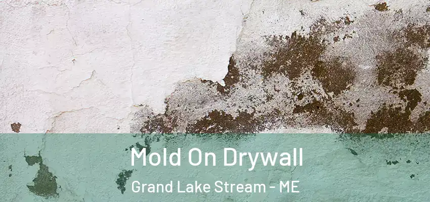 Mold On Drywall Grand Lake Stream - ME