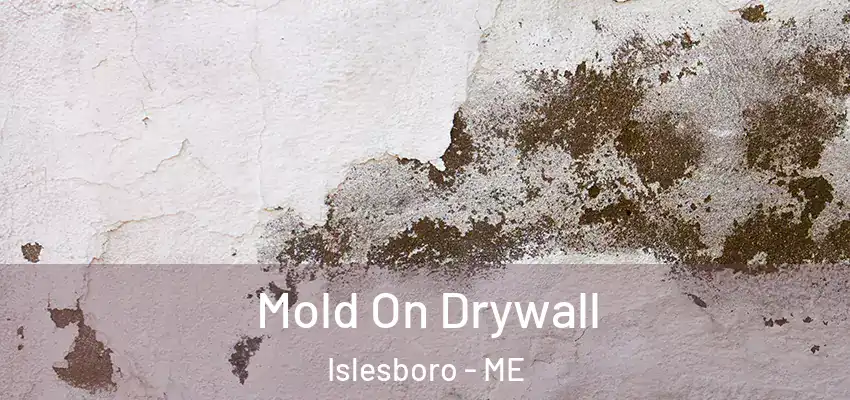  Mold On Drywall Islesboro - ME