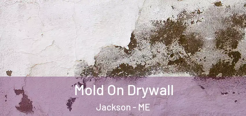 Mold On Drywall Jackson - ME