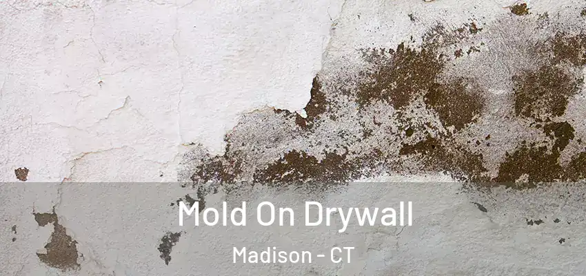 Mold On Drywall Madison - CT