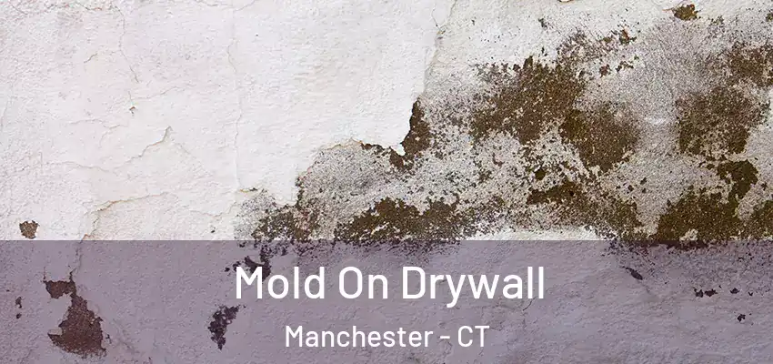  Mold On Drywall Manchester - CT