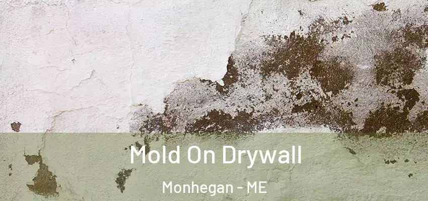  Mold On Drywall Monhegan - ME
