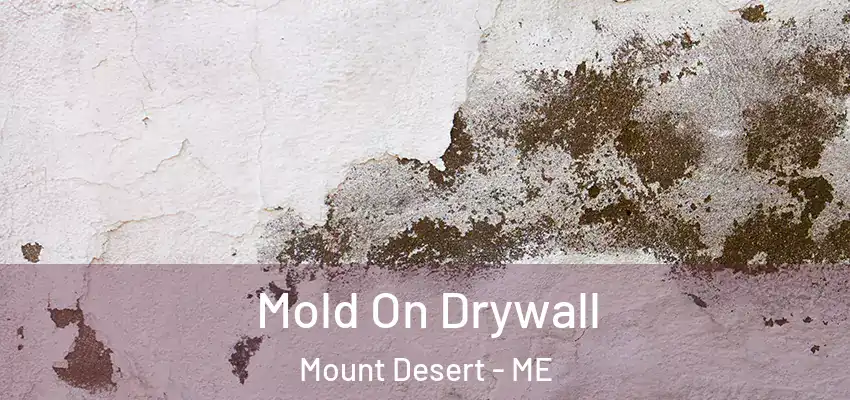 Mold On Drywall Mount Desert - ME
