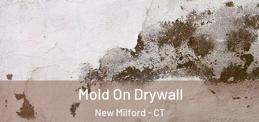 Mold On Drywall New Milford - CT