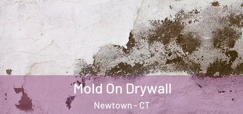 Mold On Drywall Newtown - CT