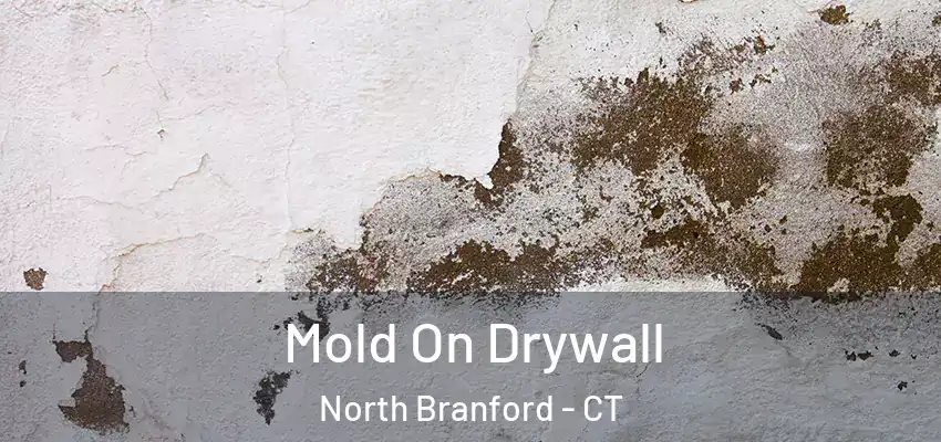 Mold On Drywall North Branford - CT