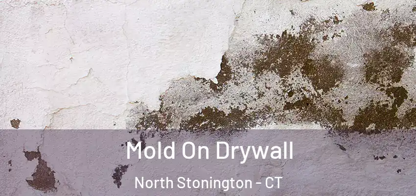 Mold On Drywall North Stonington - CT