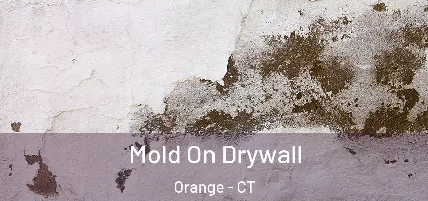 Mold On Drywall Orange - CT