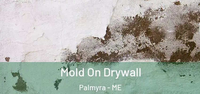 Mold On Drywall Palmyra - ME