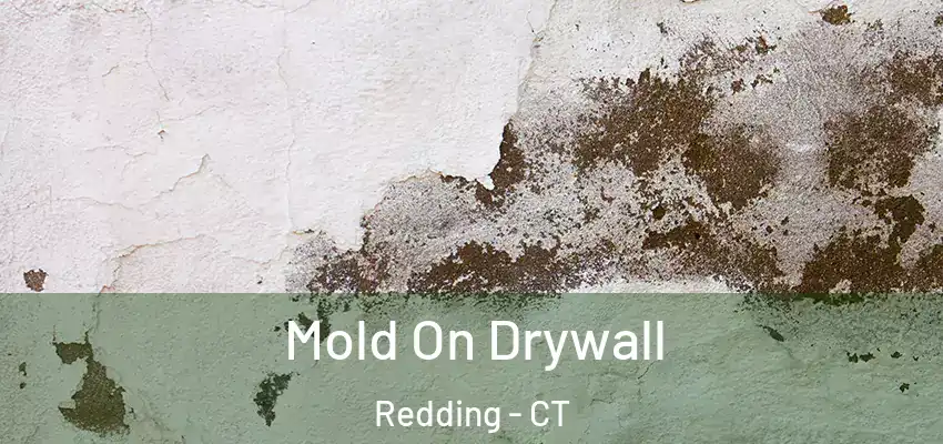 Mold On Drywall Redding - CT