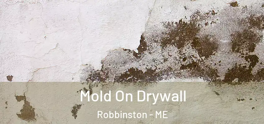 Mold On Drywall Robbinston - ME