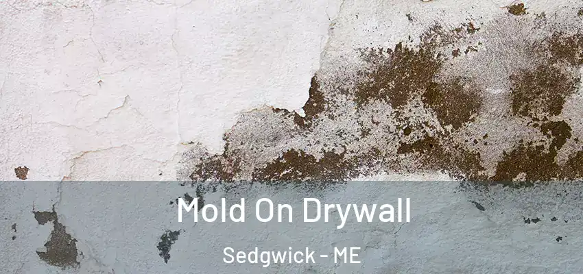 Mold On Drywall Sedgwick - ME