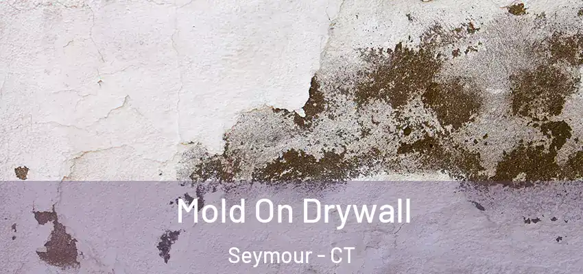 Mold On Drywall Seymour - CT