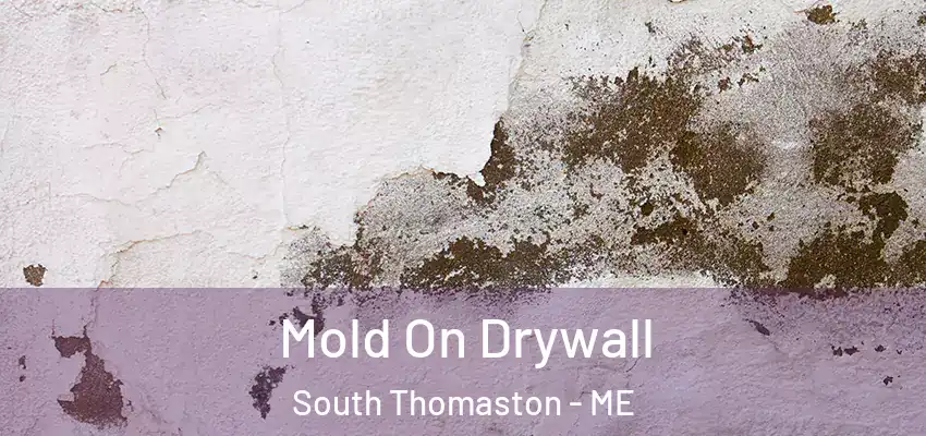 Mold On Drywall South Thomaston - ME