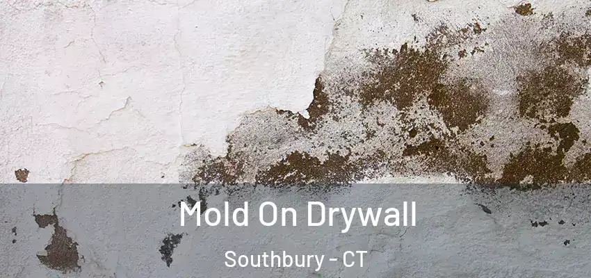Mold On Drywall Southbury - CT