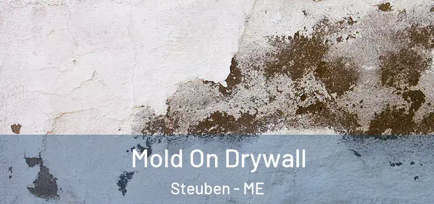 Mold On Drywall Steuben - ME