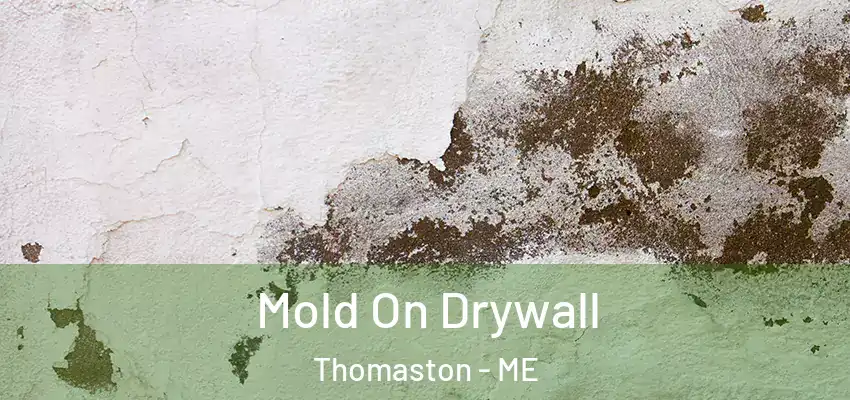 Mold On Drywall Thomaston - ME