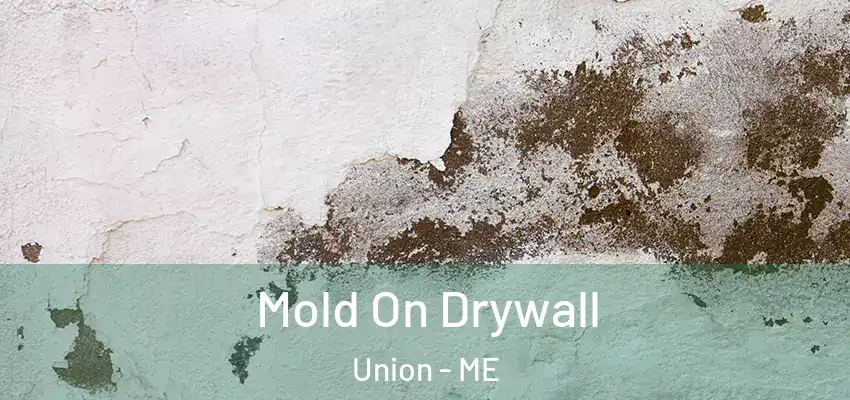 Mold On Drywall Union - ME