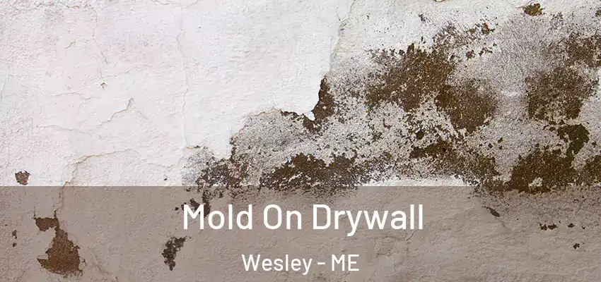 Mold On Drywall Wesley - ME