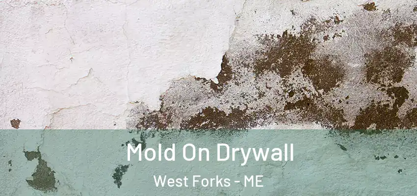  Mold On Drywall West Forks - ME