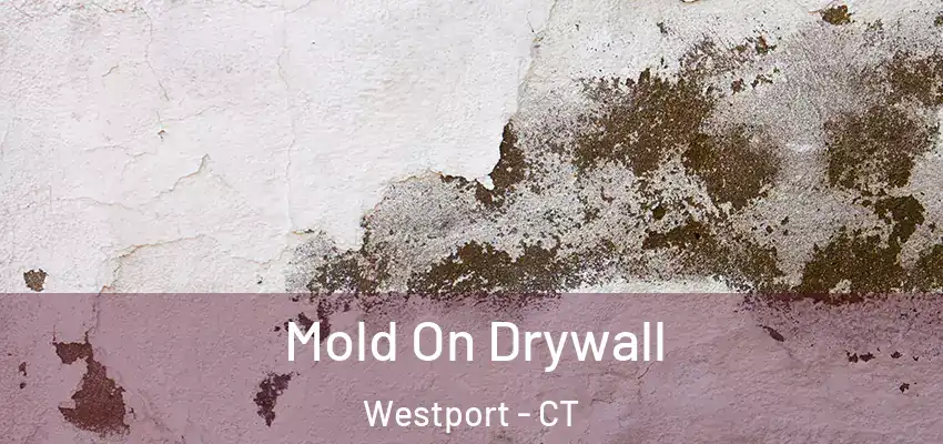  Mold On Drywall Westport - CT