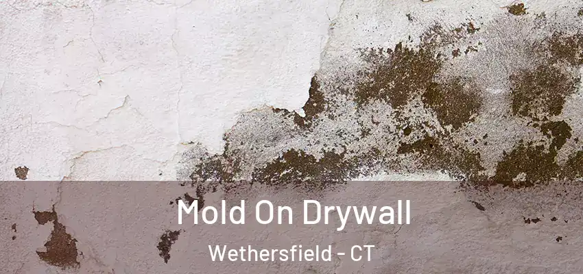 Mold On Drywall Wethersfield - CT