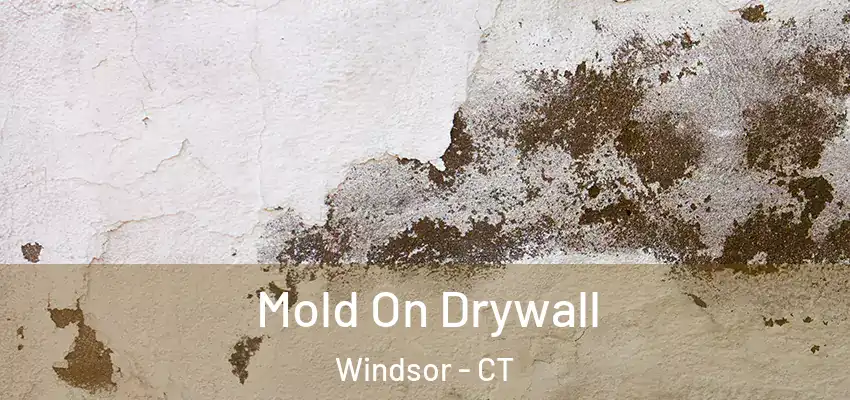 Mold On Drywall Windsor - CT
