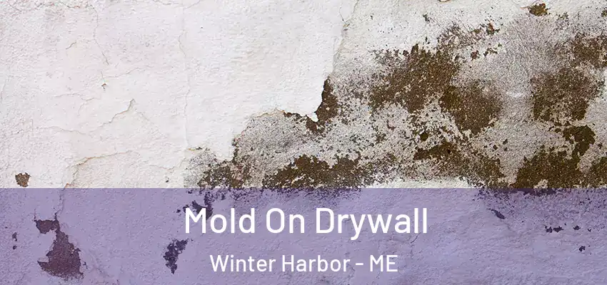 Mold On Drywall Winter Harbor - ME