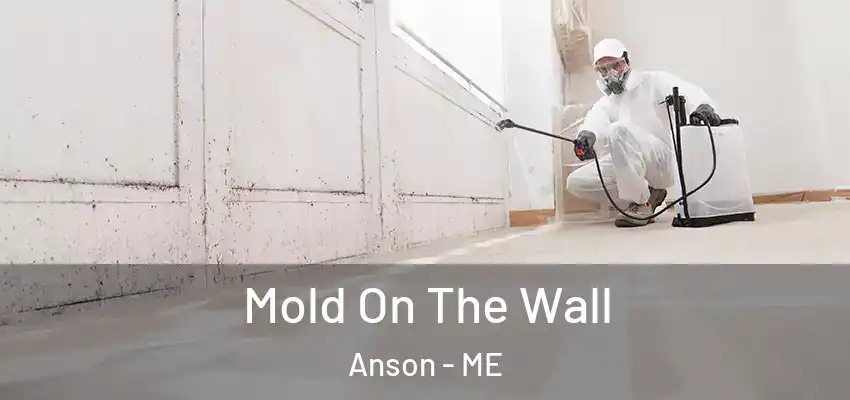  Mold On The Wall Anson - ME