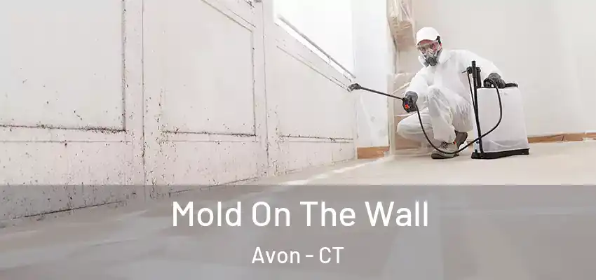 Mold On The Wall Avon - CT