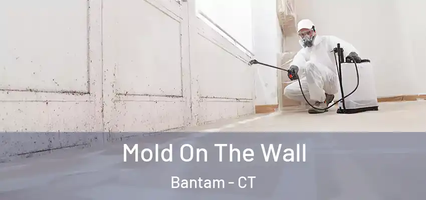 Mold On The Wall Bantam - CT