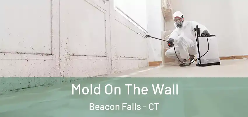  Mold On The Wall Beacon Falls - CT