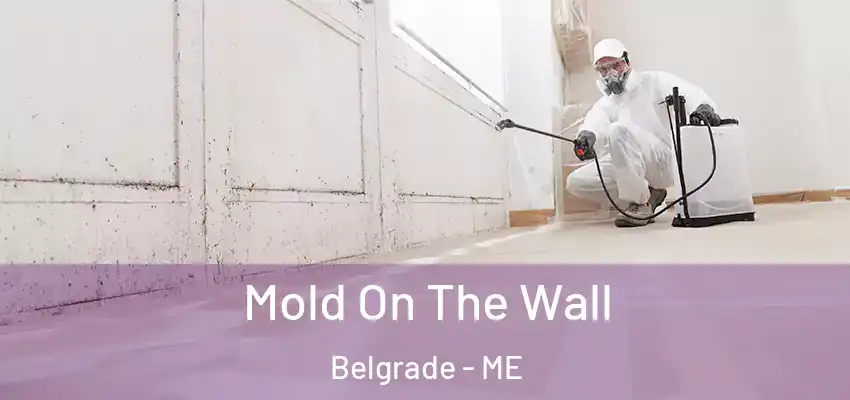  Mold On The Wall Belgrade - ME